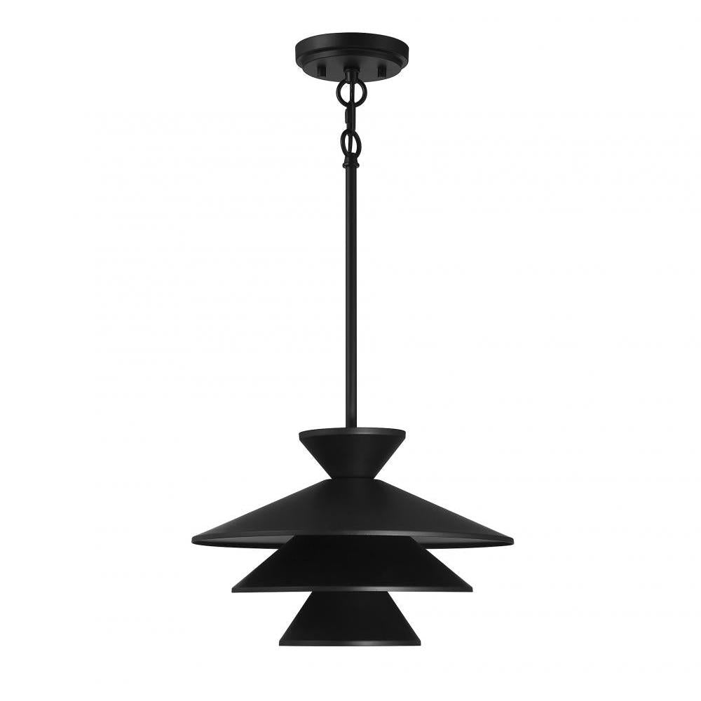 1-Light Pendant in Matte Black