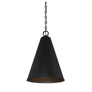 1-Light Pendant in Matte Black