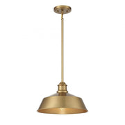 1-Light Pendant in Natural Brass