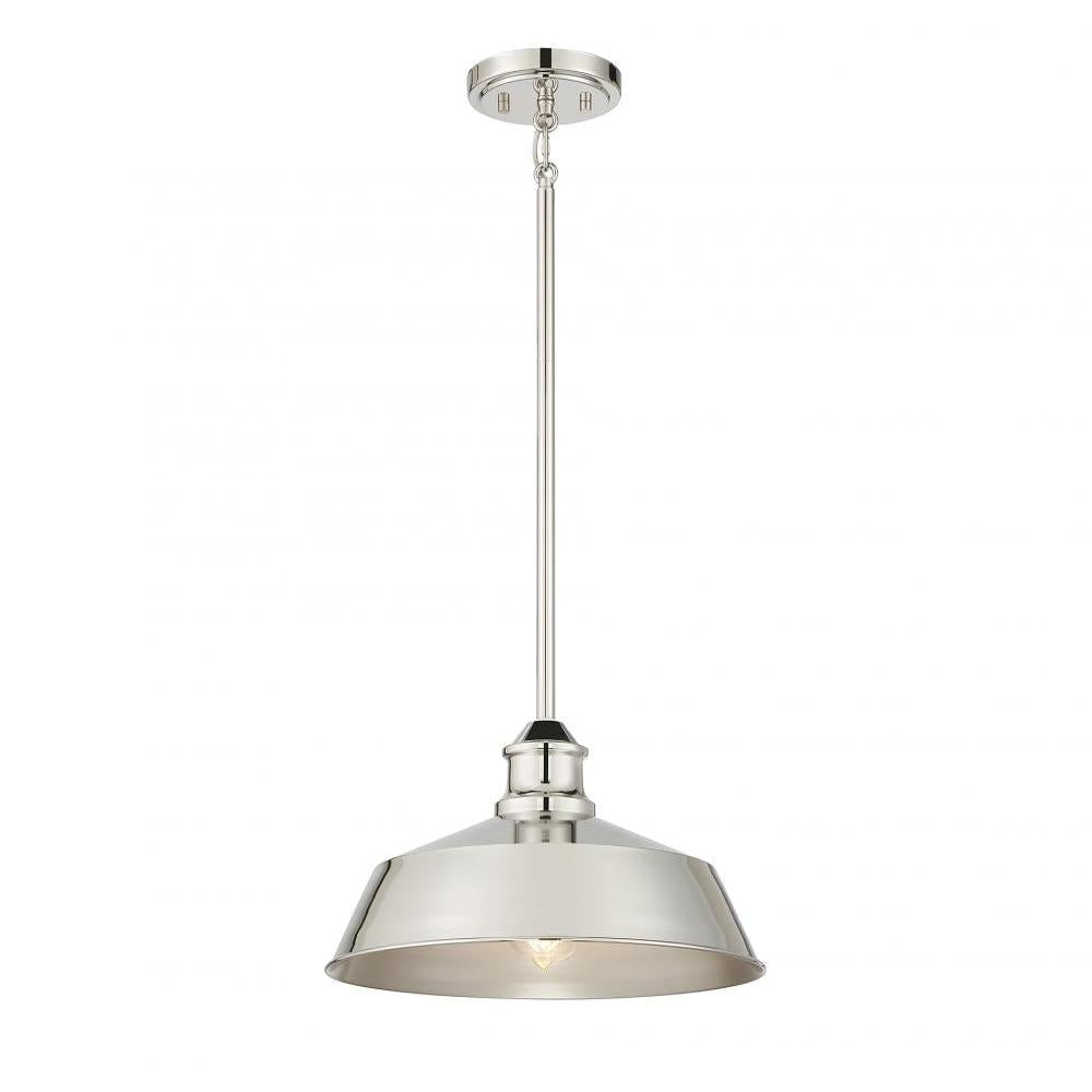 1-Light Pendant in Polished Nickel