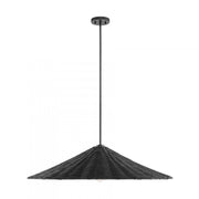 1-Light Pendant in Matte Black