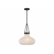 1-Light Pendant in Matte Black