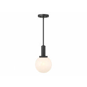 1-Light Pendant in Matte Black