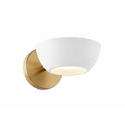 1-Light Wall Sconce in White and Natural Brass