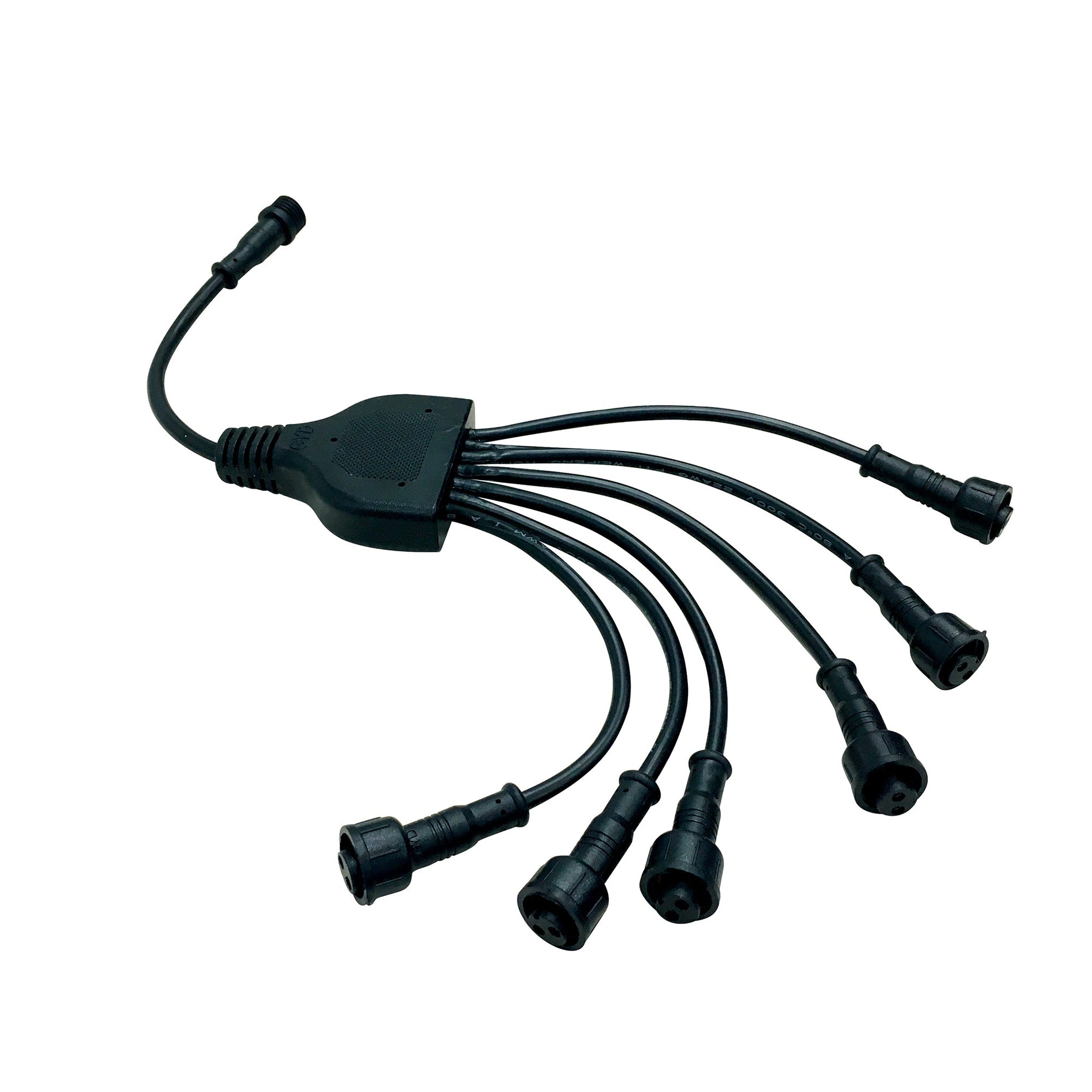 Nora NM1-TM6 NM1 Splitter Cable (1 input - 6 output)