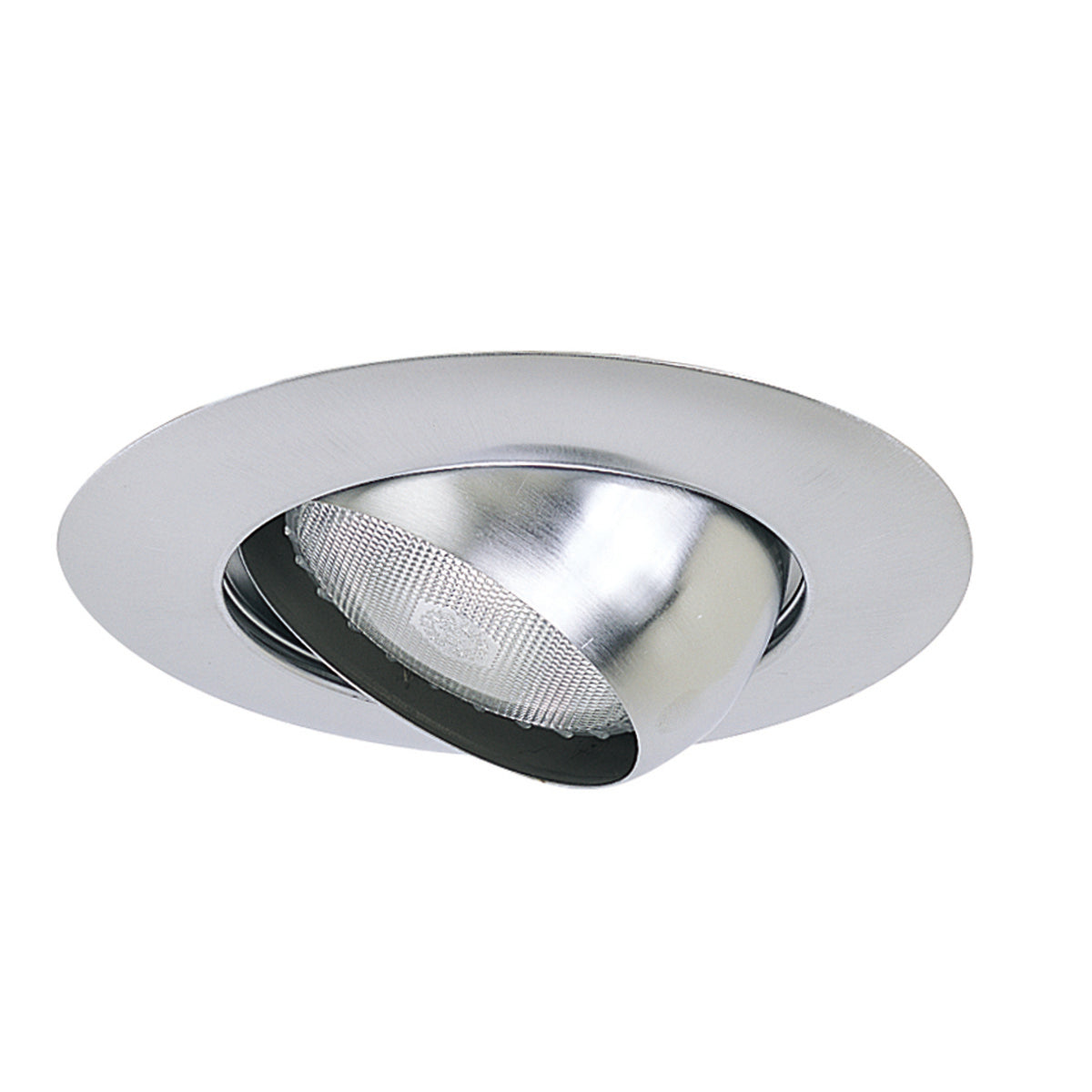 Nora NT-28N 6 inch BR/PAR30 Eyeball w/ Metal Trim, Natural Metal