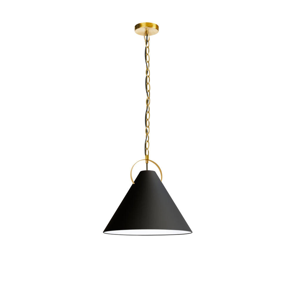 Dainolite PRINCETON PCN-161P-AGB-797 Pendant Contemporary - Aged Brass