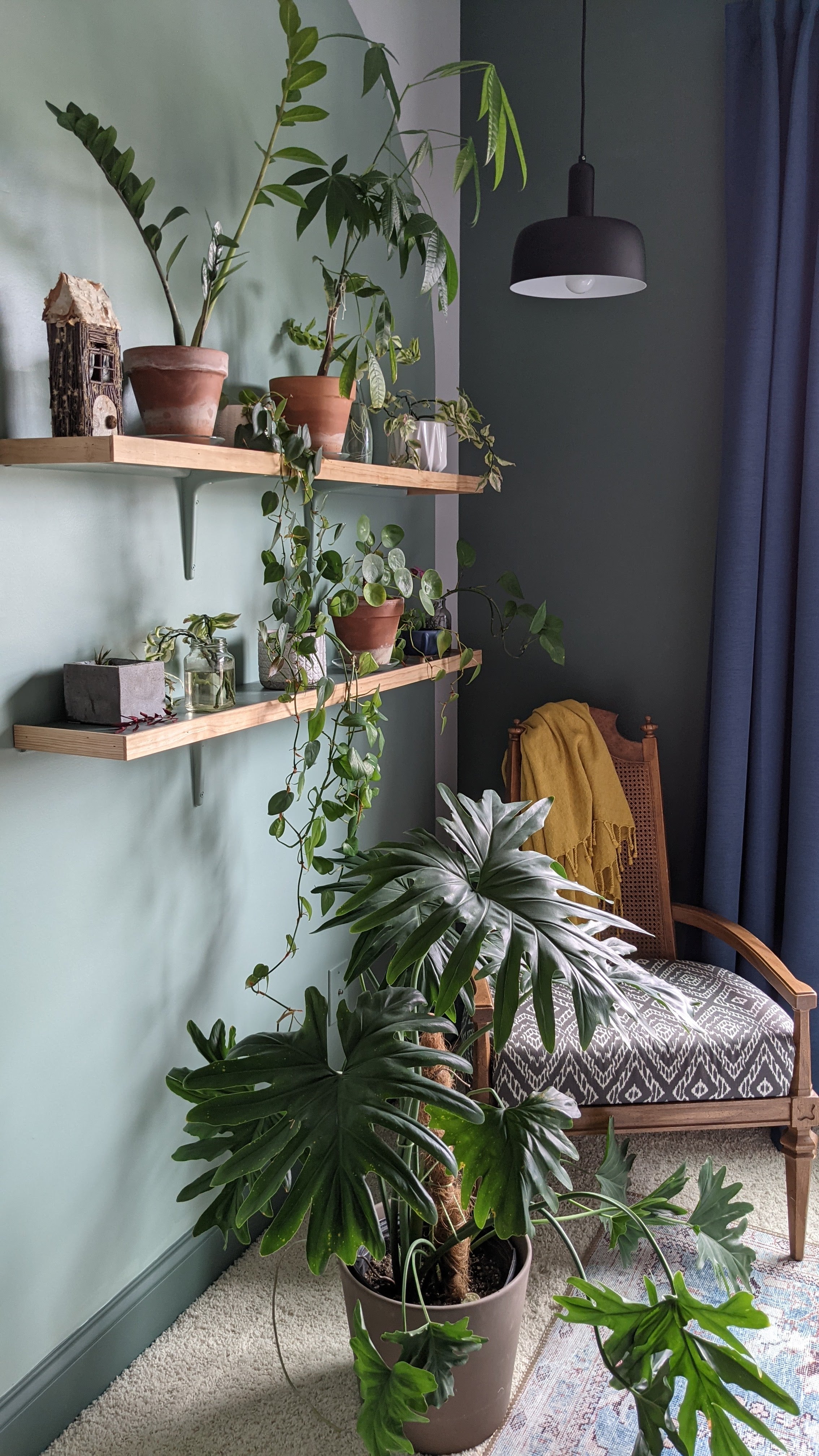 Adriano 10-in Matte Black 1 Light Pendant