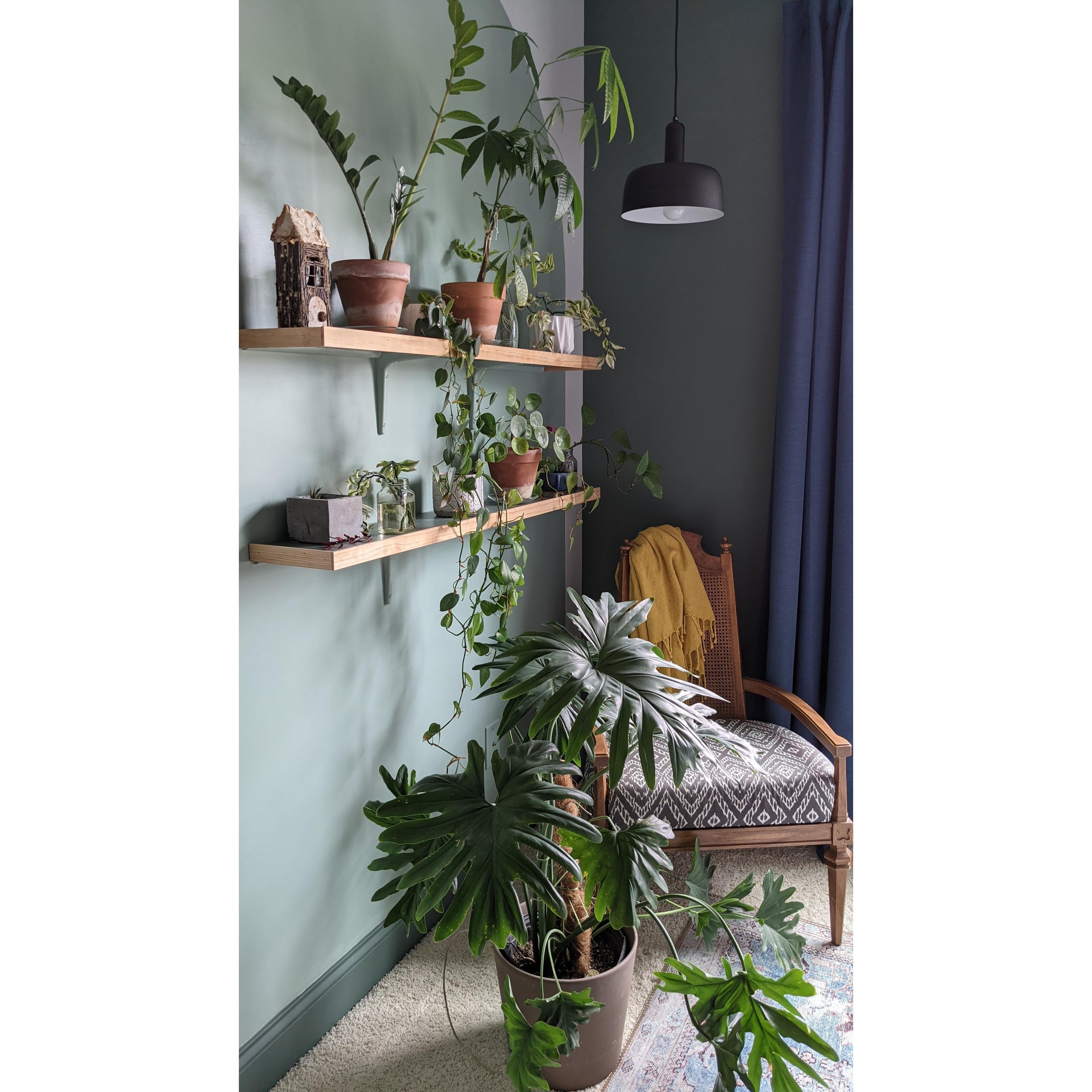 Adriano 10-in Matte Black 1 Light Pendant