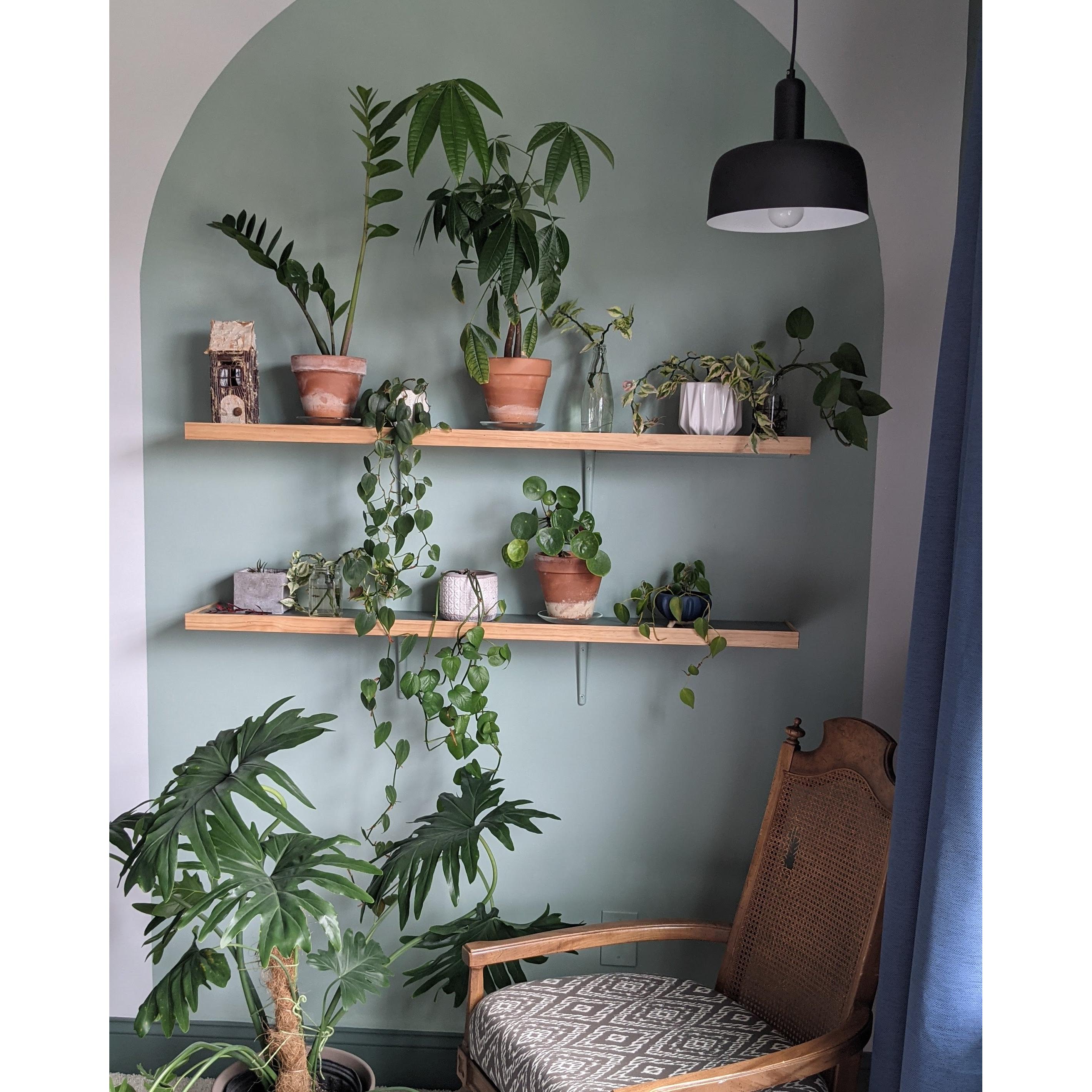 Adriano 10-in Matte Black 1 Light Pendant