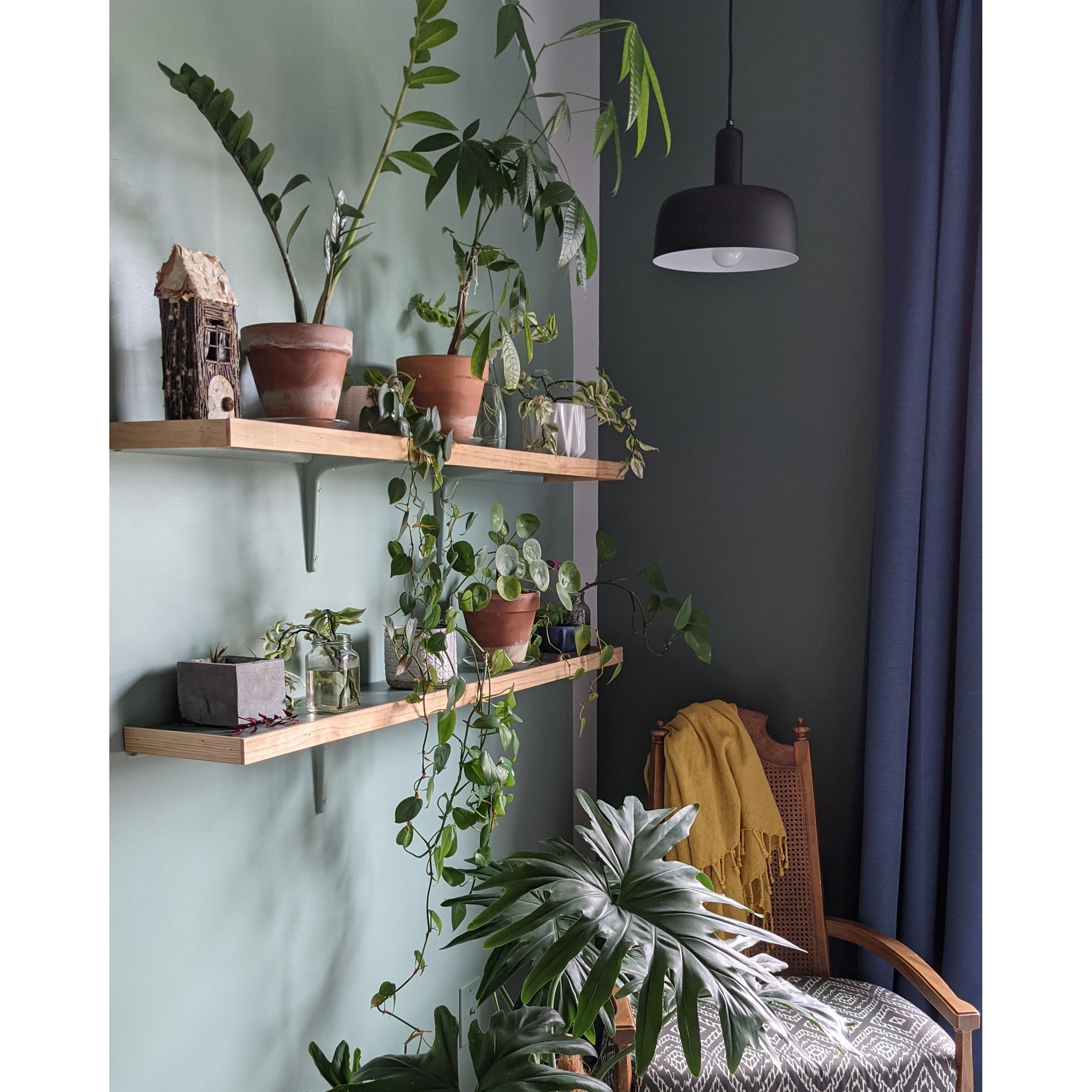 Adriano 10-in Matte Black 1 Light Pendant