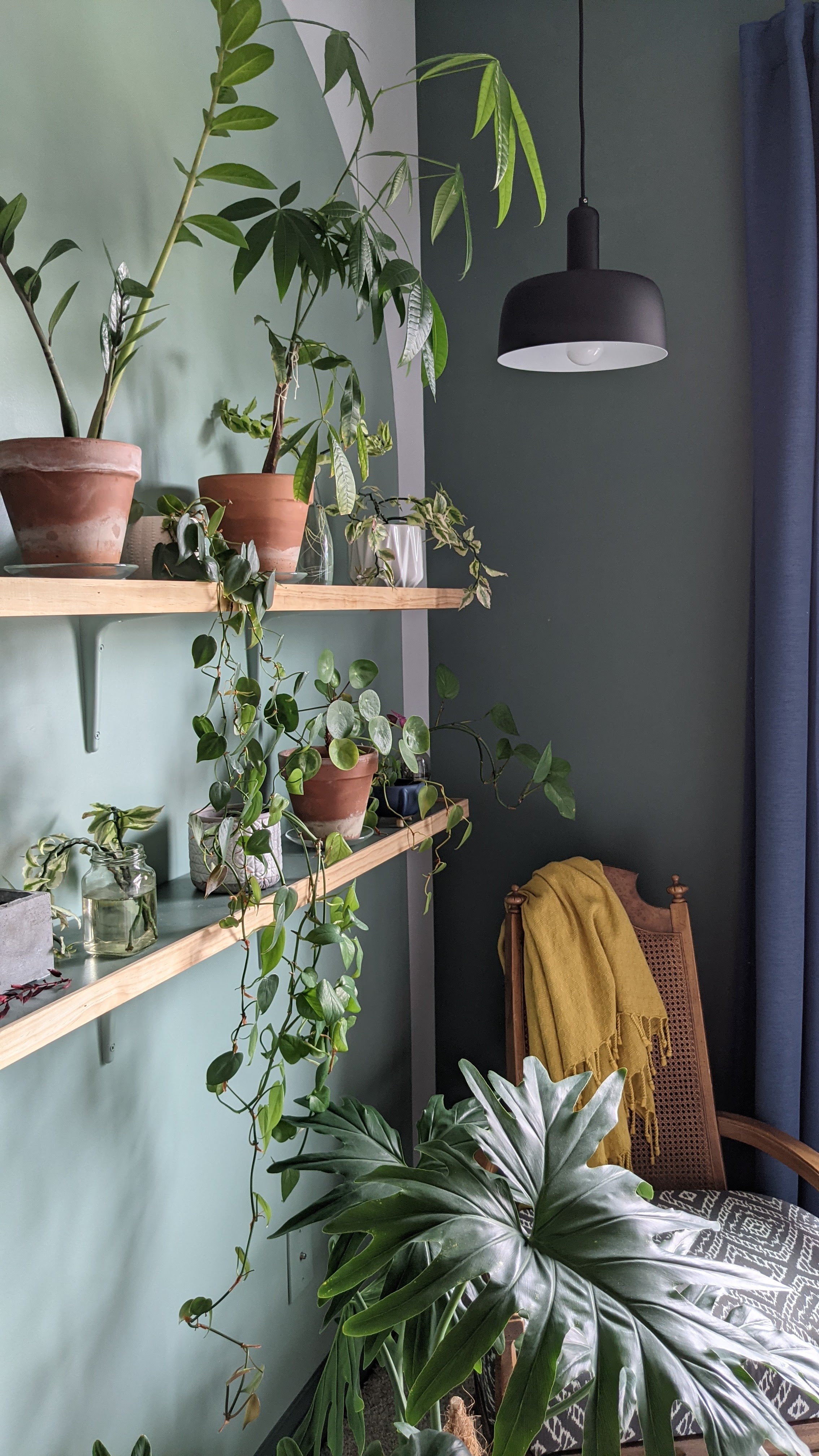 Adriano 10-in Matte Black 1 Light Pendant