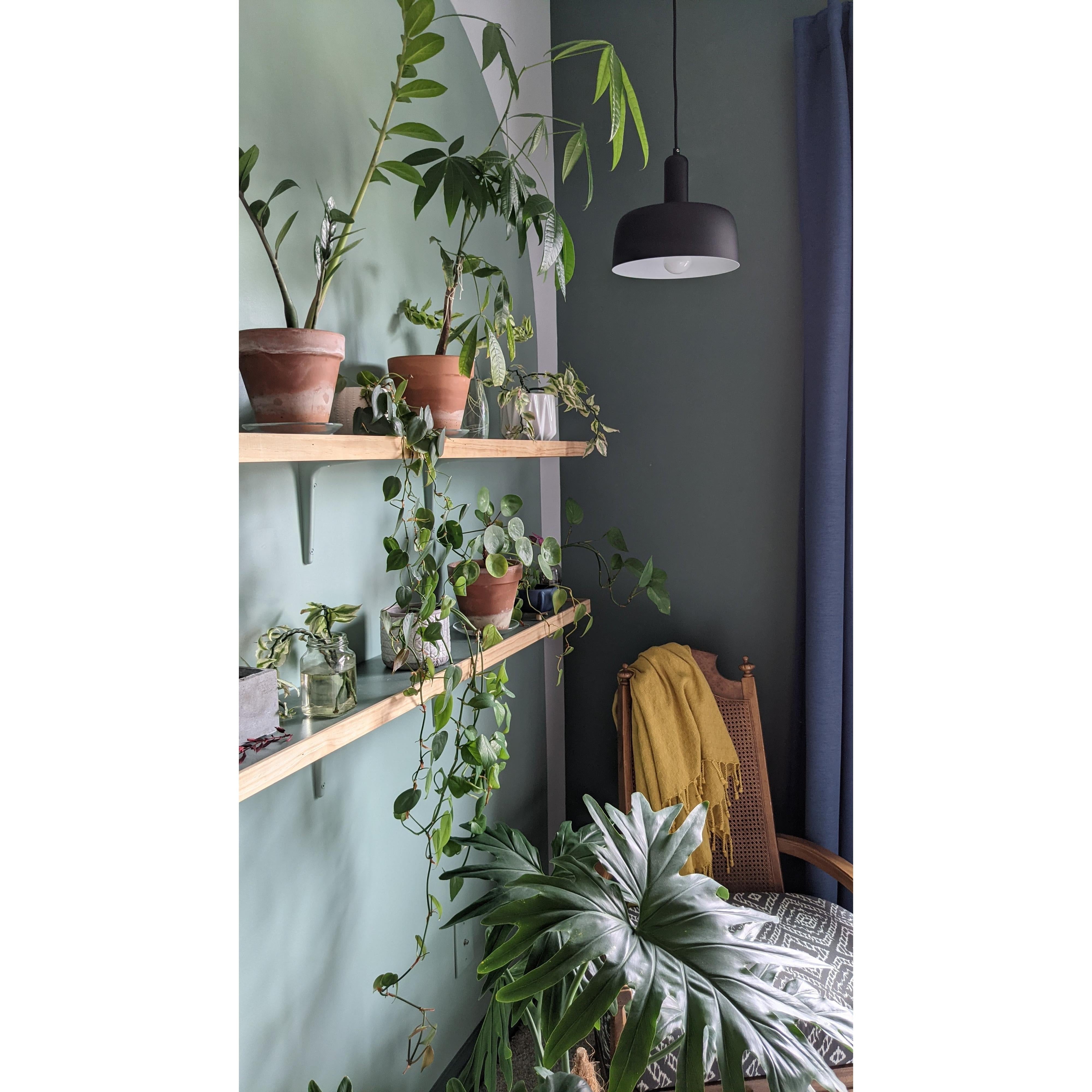 Adriano 10-in Matte Black 1 Light Pendant