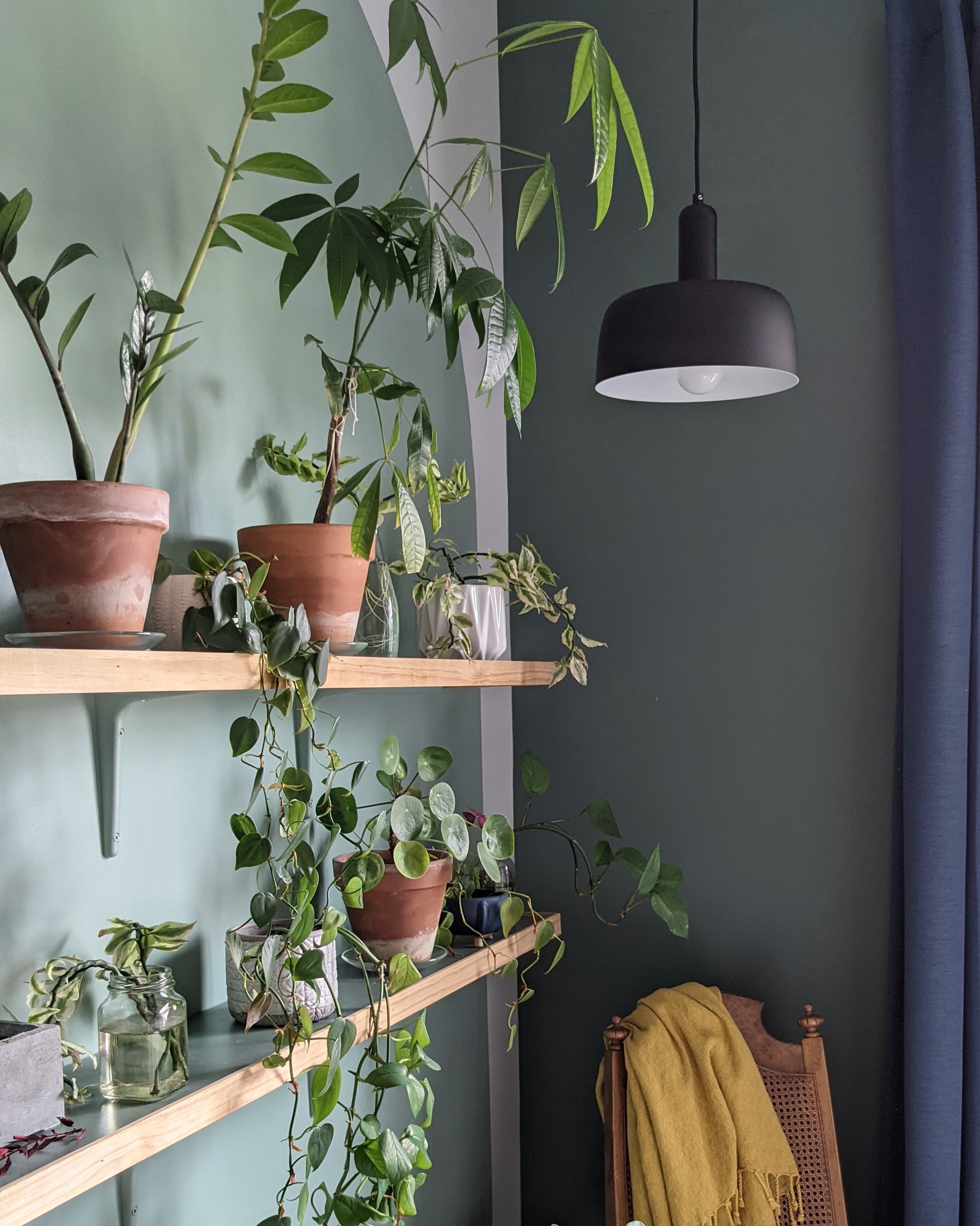 Adriano 10-in Matte Black 1 Light Pendant