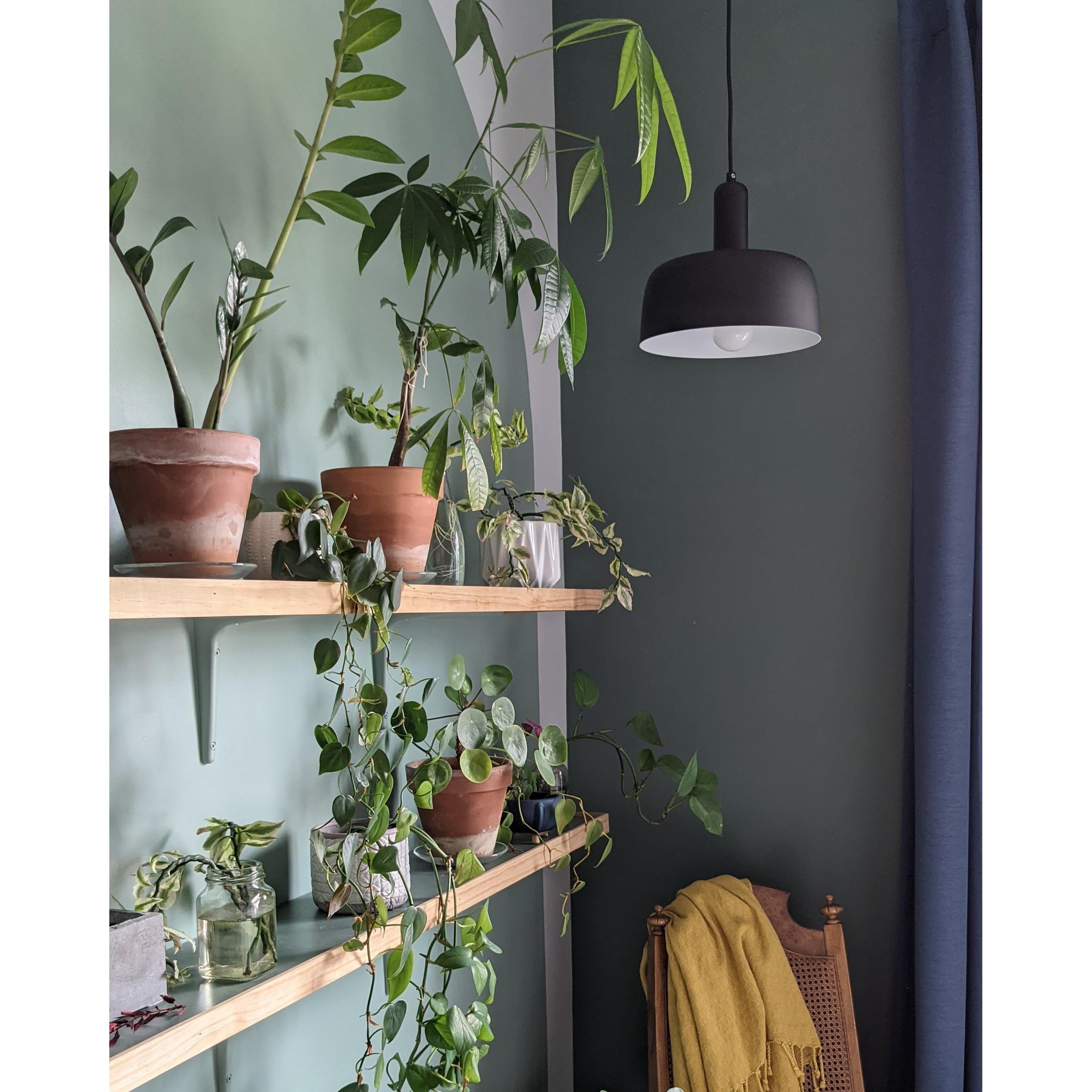 Adriano 10-in Matte Black 1 Light Pendant