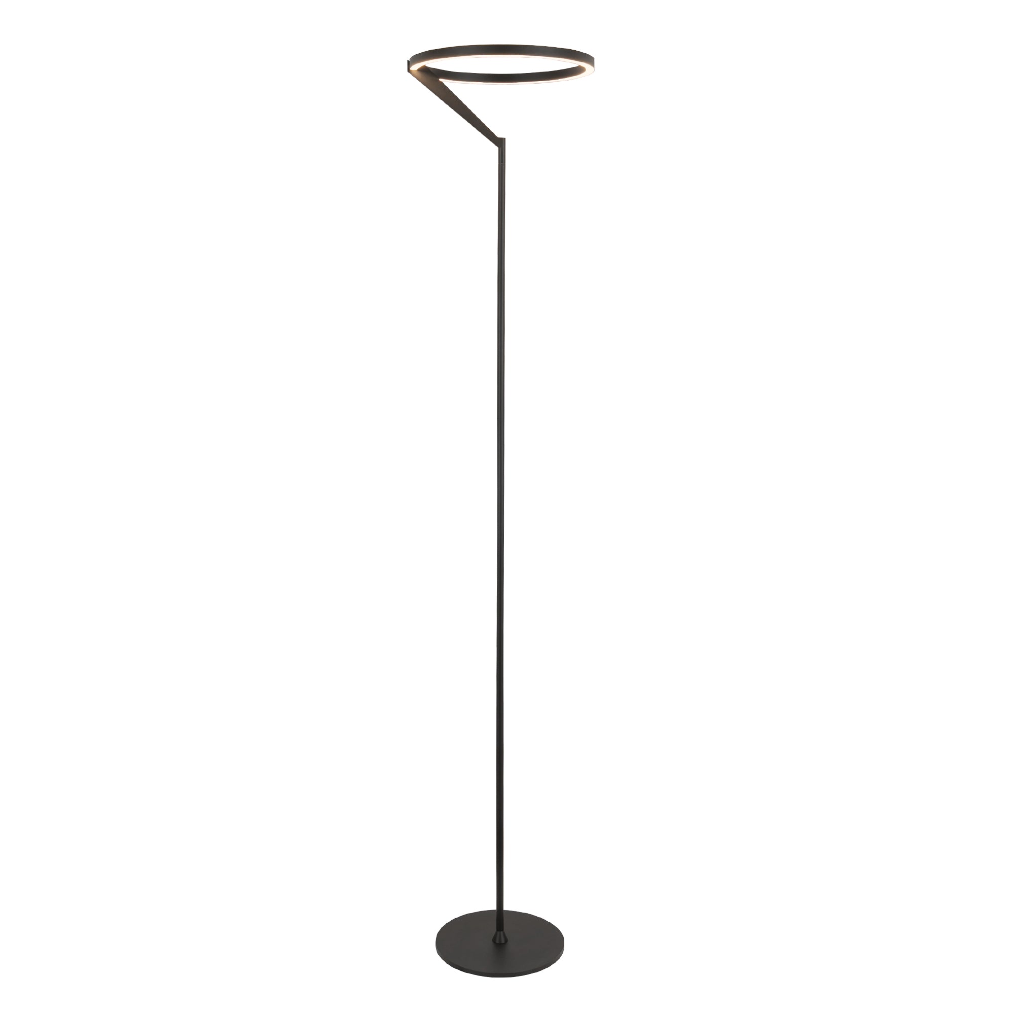 Roda 13-in Black LED Floor Lamp