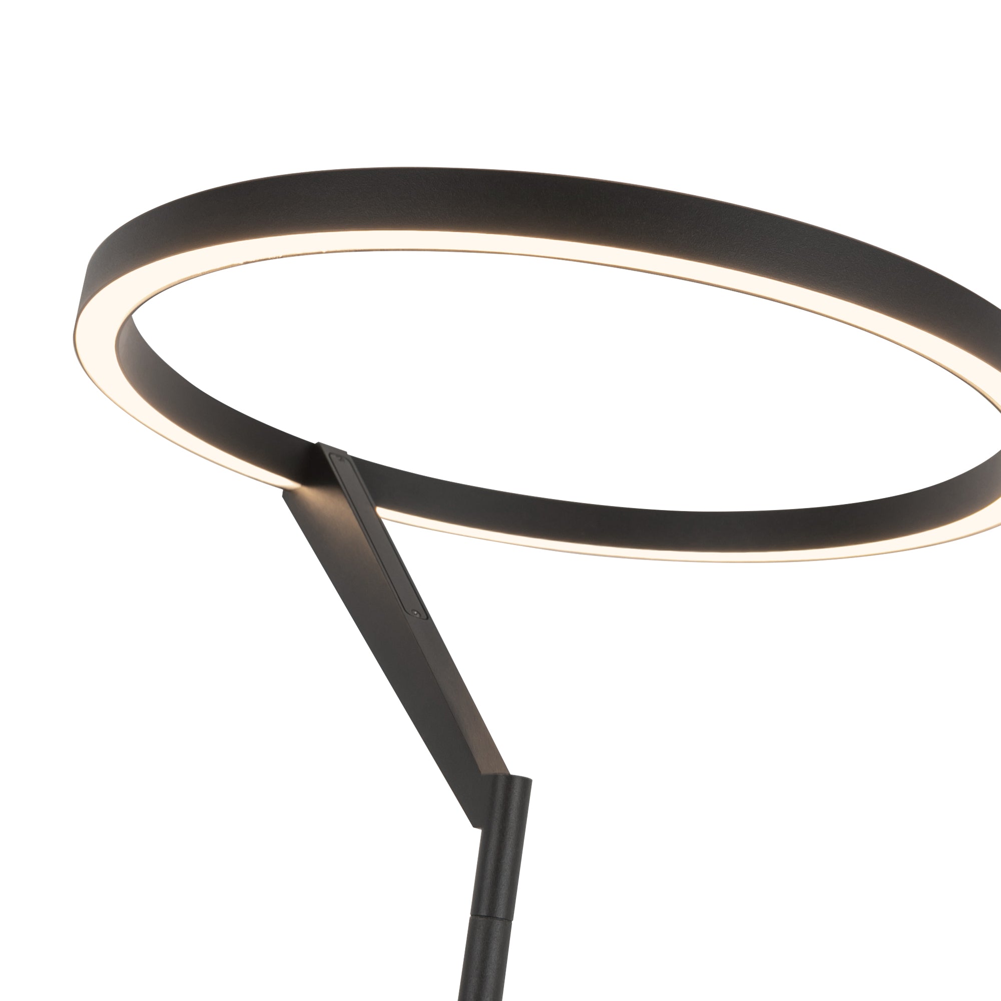 Roda 13-in Black LED Floor Lamp