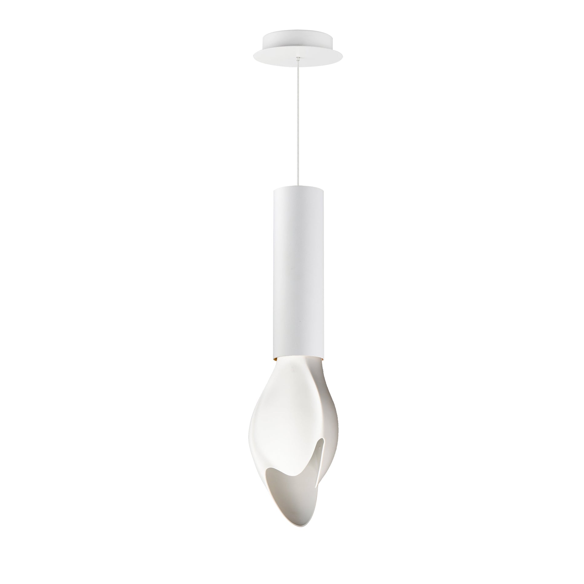 Burgeon-Single Pendant