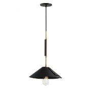 Studio M CAVALIER SM81801NAB Pendant Traditional - Natural Aged Brass light