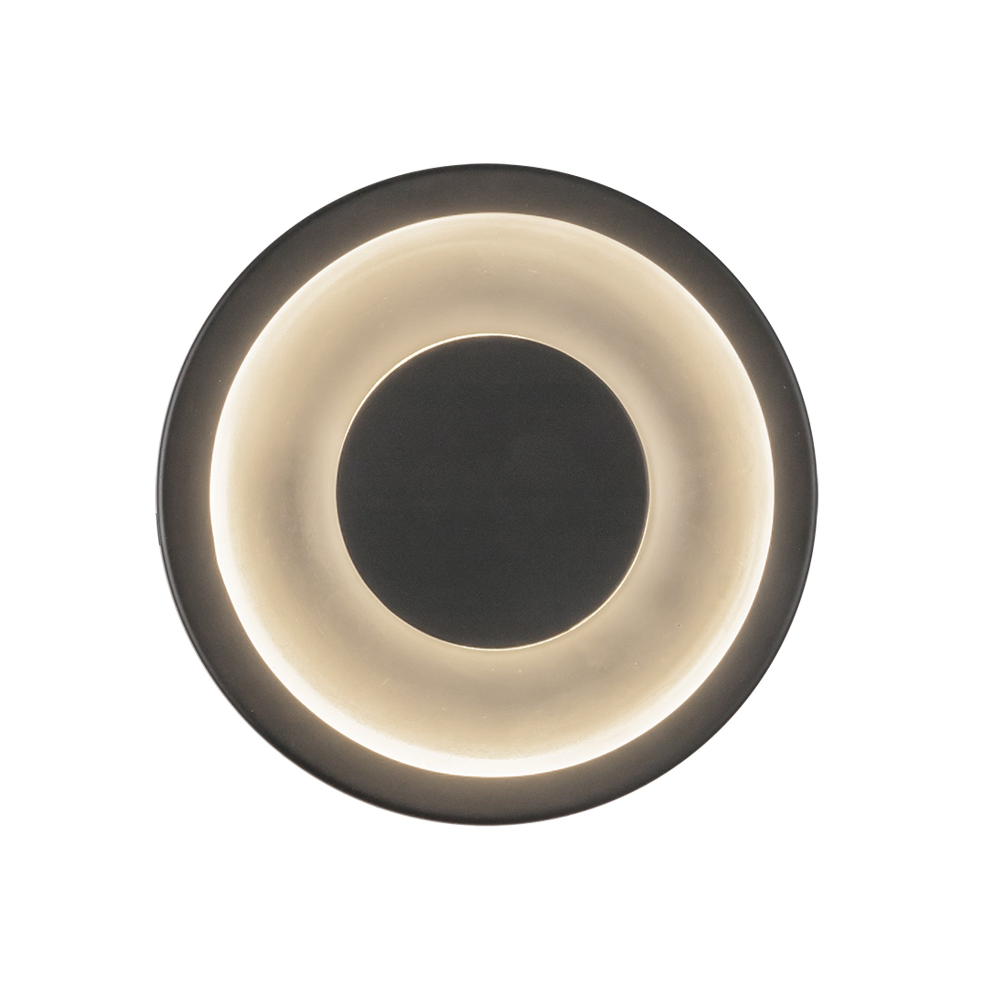Stephord 4-in Black/Frosted Glass LED Wall Sconce