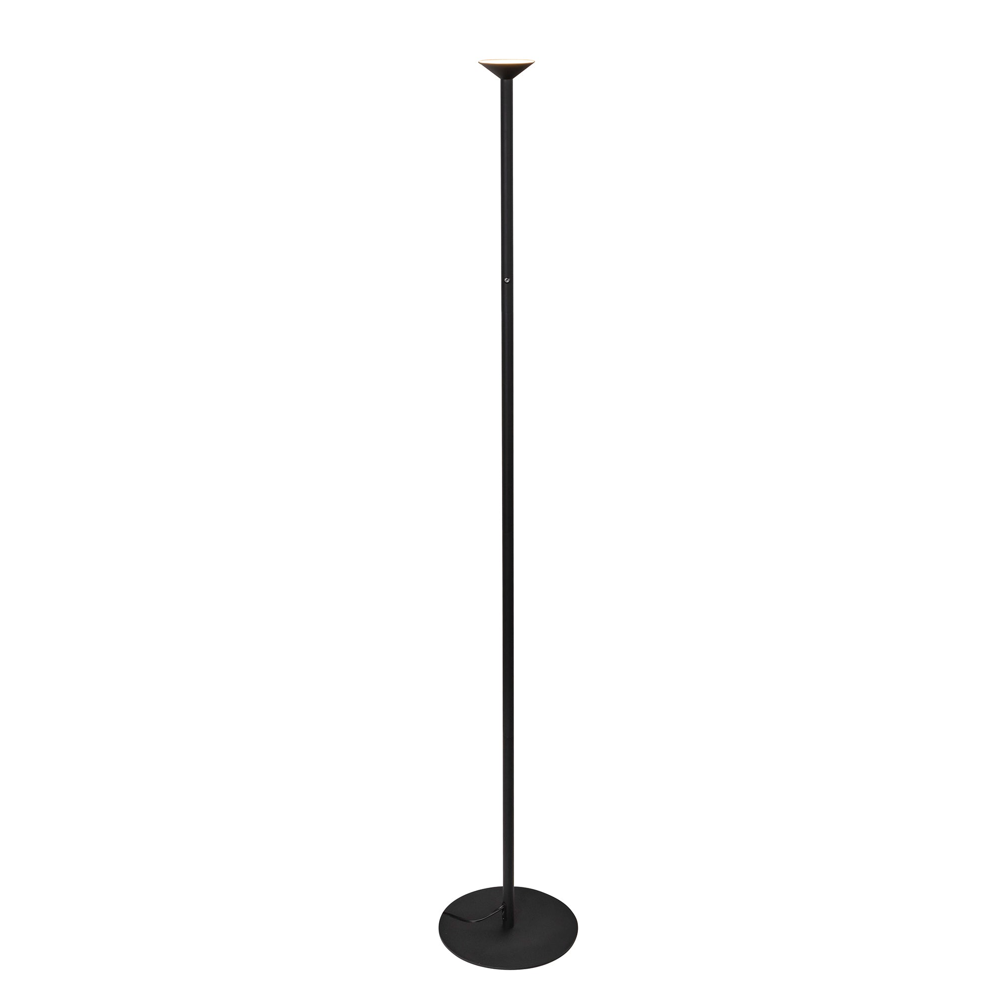 Valor 78-in Black LED Floor Lamp