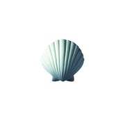 ADA Scallop Shell