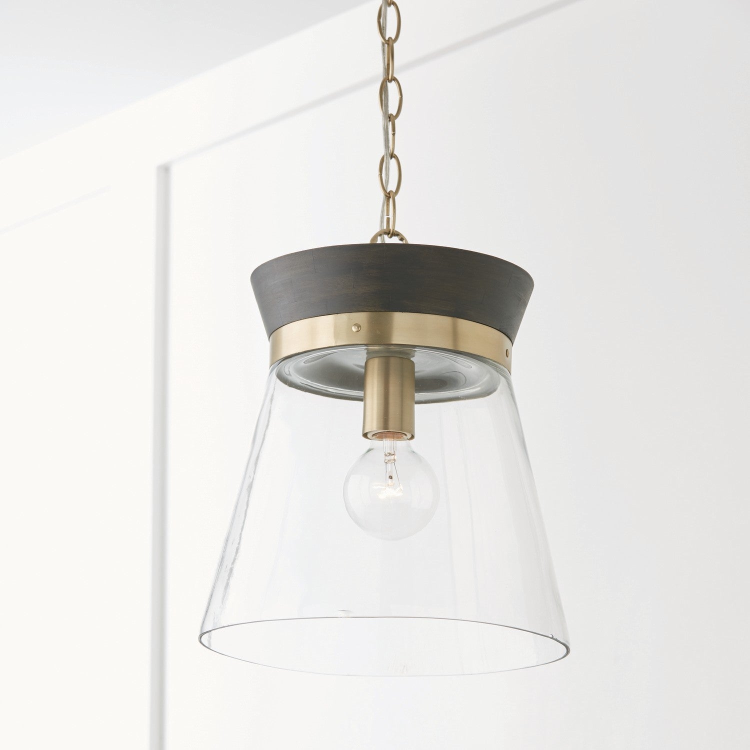 Capital Finn 347311KR Pendant Light - Black Stain, Matte Brass, Clear Glass (OPEN BOX)