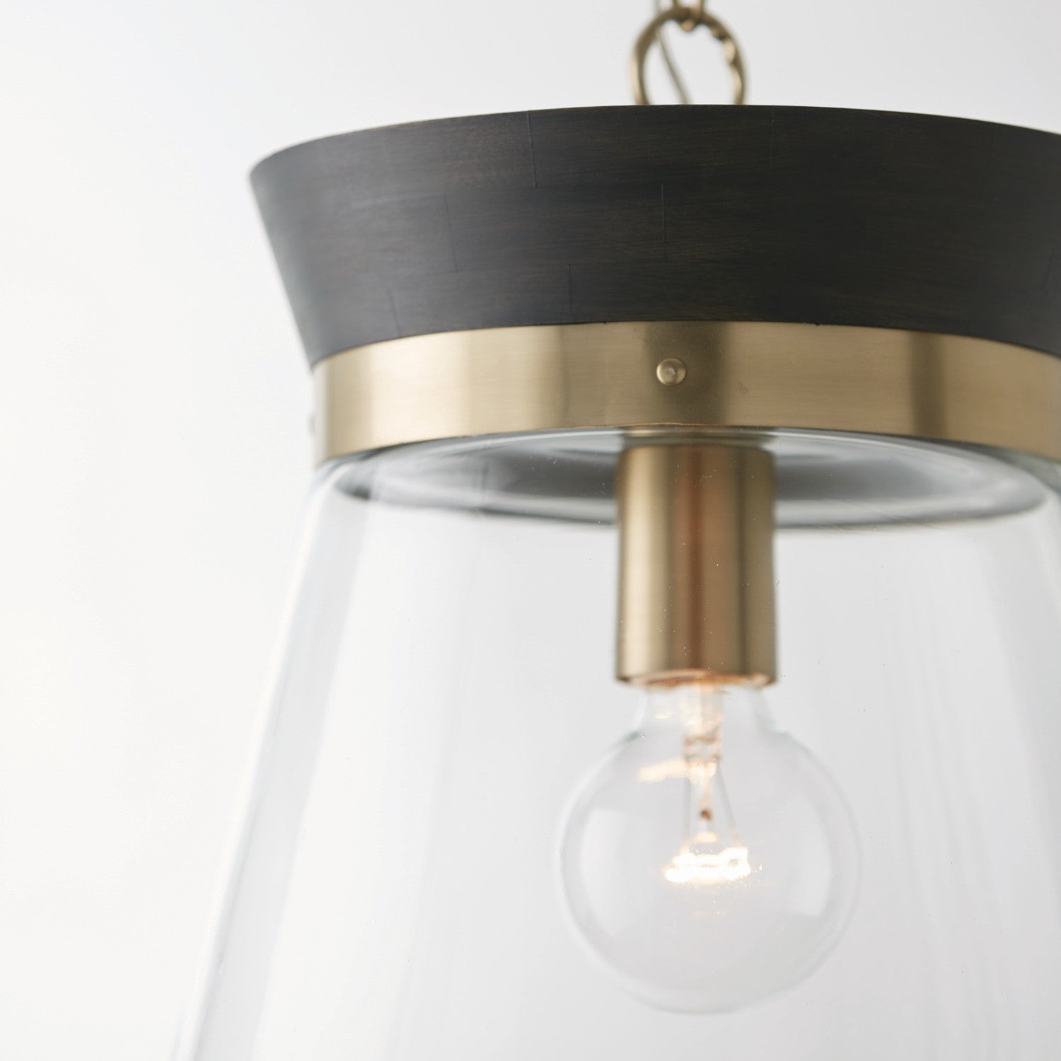 Capital Finn 347311KR Pendant Light - Black Stain, Matte Brass, Clear Glass (OPEN BOX)