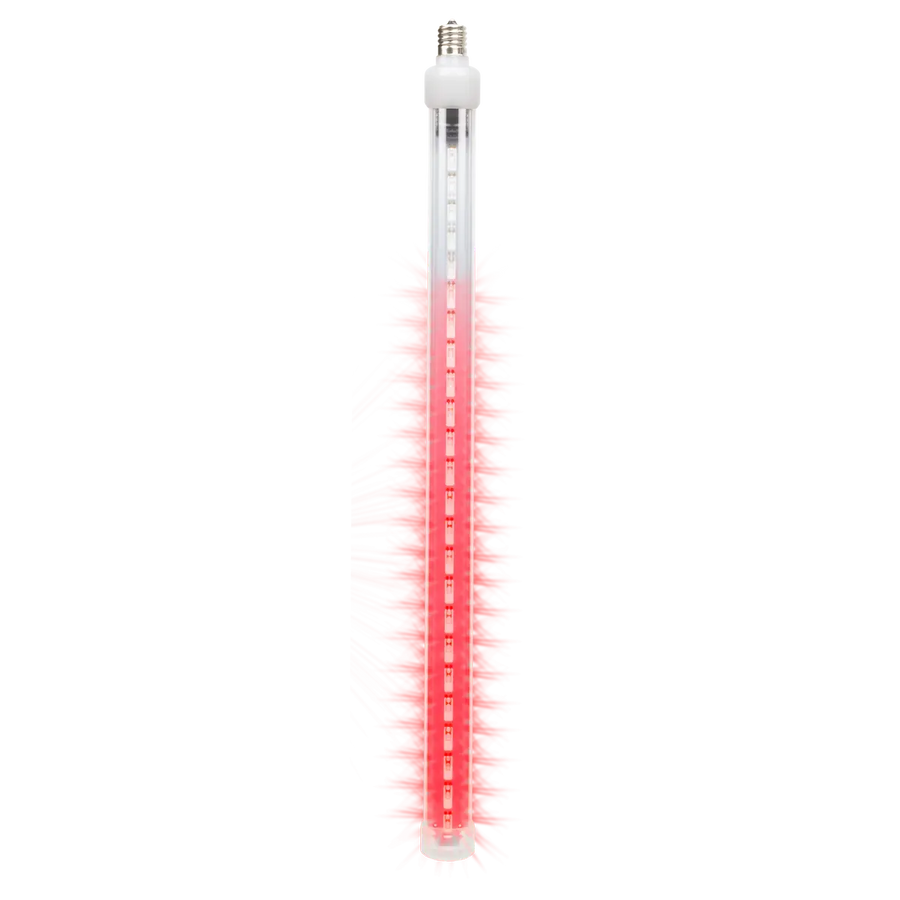 Starfall Tube Red 12in